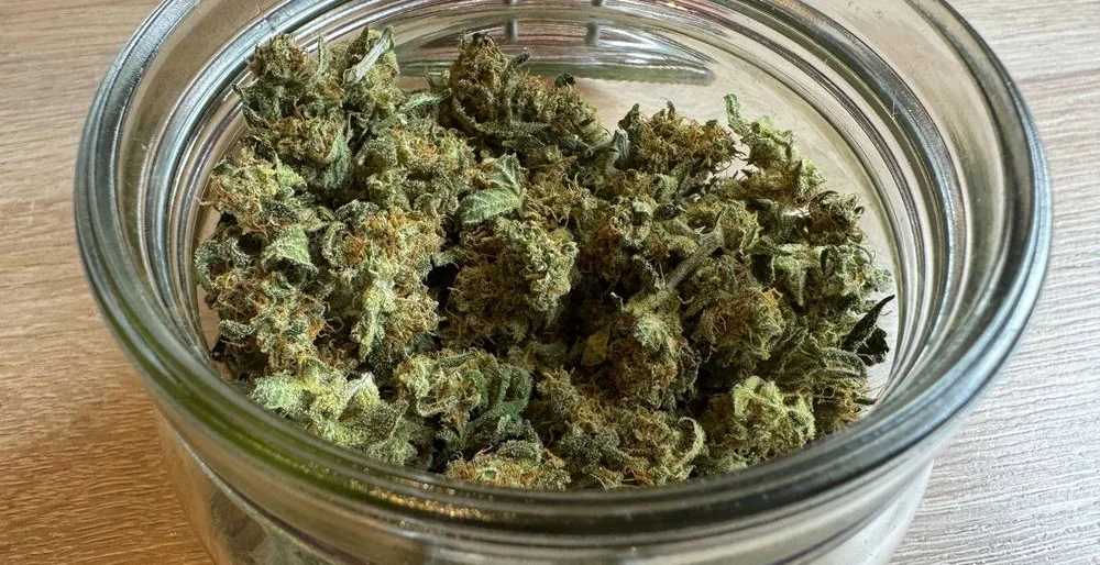 Cannabis-Fermentation