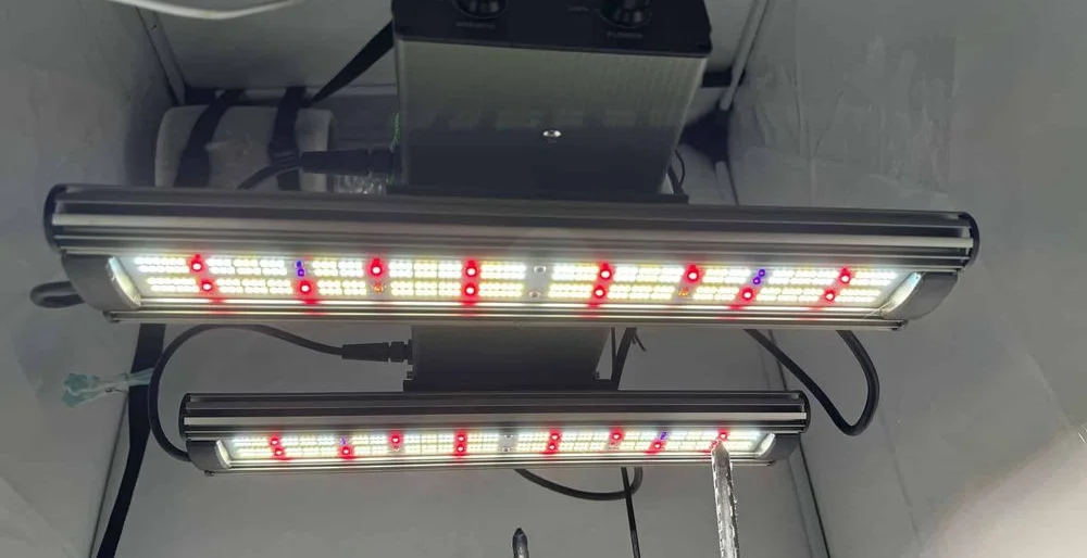 GCx-4 PWR LED Testbericht