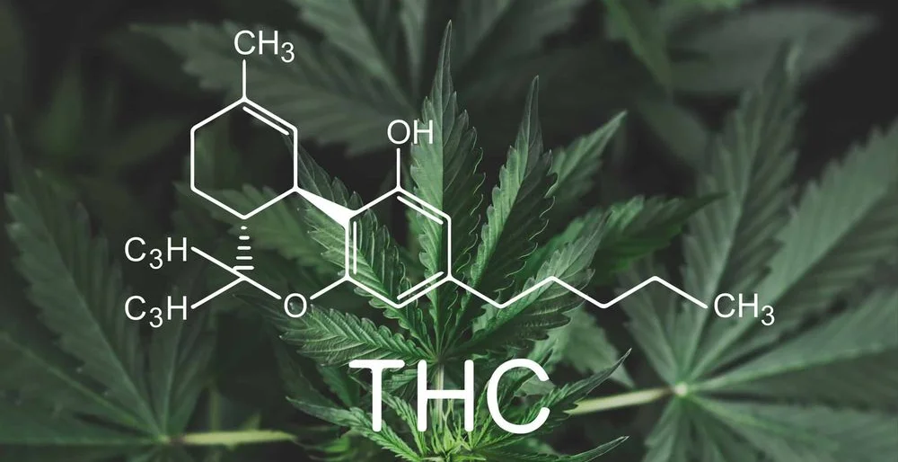 THC Messgeräte