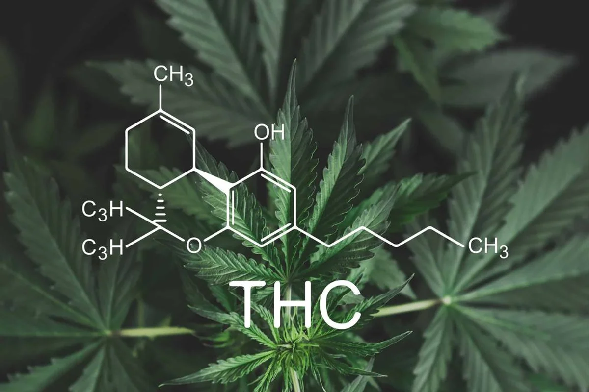 THC Messgeräte