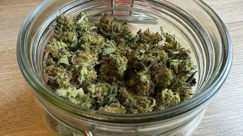 Cannabis-Fermentation
