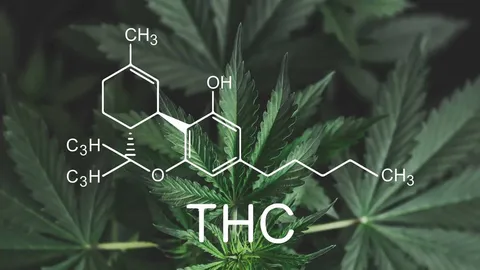 THC Messgeräte